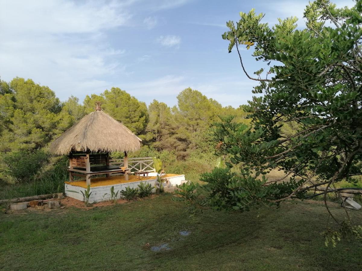 Chilliman & Mas Miro Biofarm Guest House Catllar Exterior photo